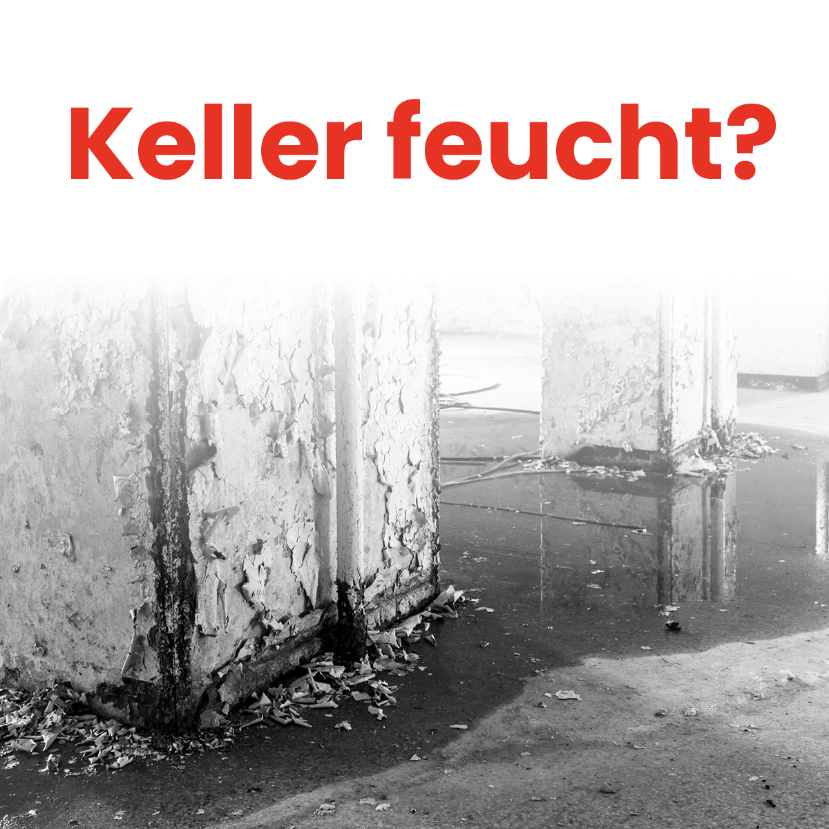 Köhler Social Media Post